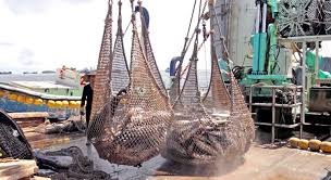 PNA họp để tập trung quản lý cá ngừ