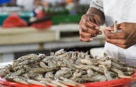 Ấn Độ Xuất khẩu tôm đạt 4,8 tỷ USD trong năm tài chính 2018