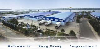 
Hung Vuong Corp Lên kế hoạch xuất khẩu 60 nghìn tấn cá tra năm 2019