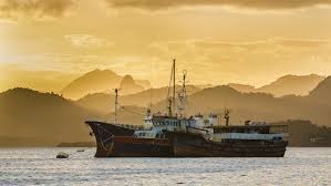 Các nước nỗ lực hợp tác chống khai thác bất hợp pháp