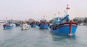 Các nhiệm vụ cấp bách, trọng tâm về chống khai thác hải sản IUU trong tháng 22020