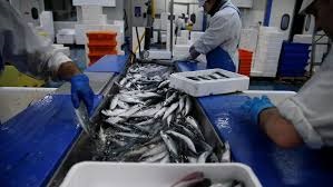 Ngành thủy sản EU yêu cầu các biện pháp khẩn cấp và đặc biệt để giải quyết tác động của Covid-19