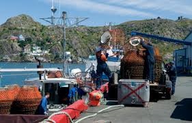 Canada Ngư trường khai thác cua tại N.L. lùi ngày mở cửa