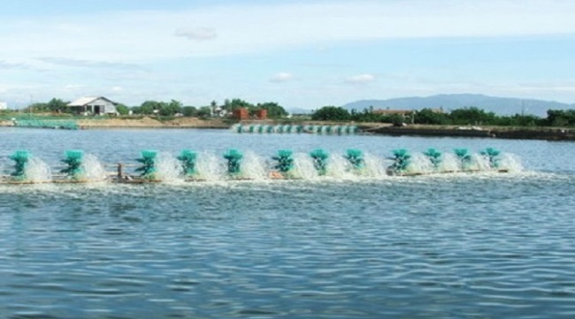 Ấn Độ và Ecuador Khi Covid-19 còn phức tạp thì sản xuất còn gặp khó khăn