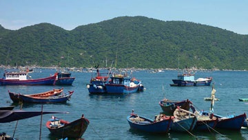 Chuyển từ nghề cá tự nhiên sang phát triển bền vững