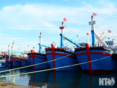 Ninh Thuận Tín hiệu vui từ khai thác thủy sản