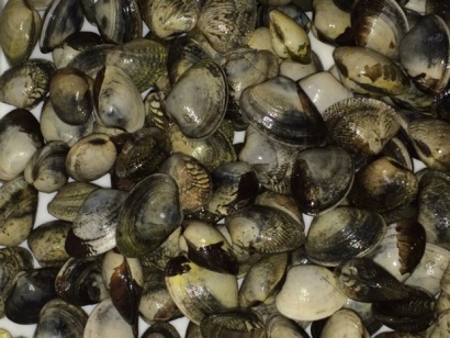 Tây Ban Nha Xuất khẩu thủy sản có vỏ của Andalusia tiếp tục tăng