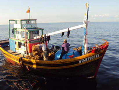 Bình Thuận Nguồn lợi điệp quạt ở Tuy Phong được tái tạo