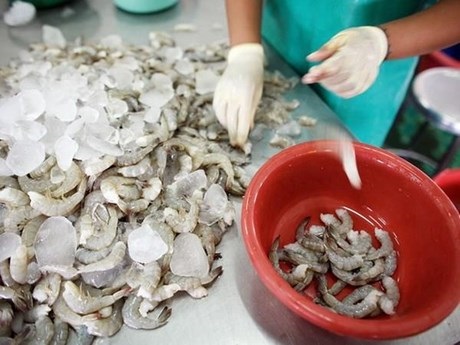 Thái Lan Xuất khẩu tôm dự kiến tăng năm 2020