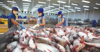 Thượng viện Mỹ thông qua việc bỏ thanh tra cá da trơn 