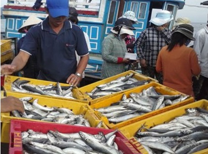 VASEP góp ý cho dự thảo CV thực hiện xác nhận, chứng nhận TS khai thác