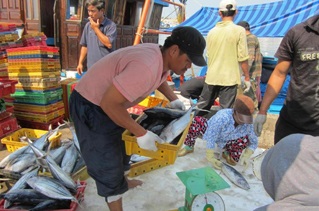 Những chuyến tàu đầy ắp cá trở về từ Hoàng Sa