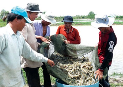 Nông nghiệp Việt Nam thắng lớn trong năm 2017