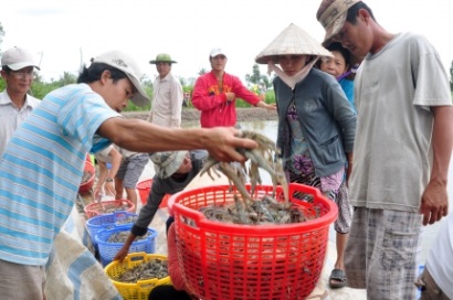 Thúc đẩy hợp tác PPP mở đường cho nông sản Việt