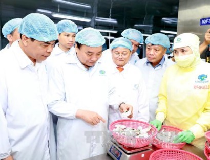 Thủ tướng thăm mô hình chế biến tôm tại Tập đoàn Thủy sản Minh Phú