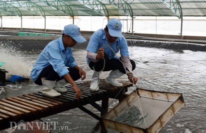 Thủ tướng Nguyễn Xuân Phúc Bạc Liêu sẽ trở thành thủ phủ ngành tôm