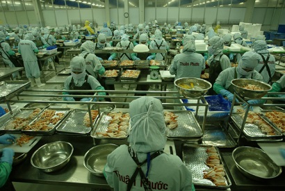 THUAN PHUOC CORP Xuất khẩu gần 1.900 tấn tôm