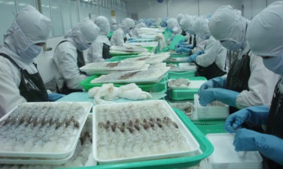 Thuan Phuoc Corp Tổ chức tham quan cho công nhân viên đạt thành tích trong hoạt động sản xuất kinh doanh