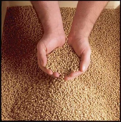 VTF Ngày 277 đăng ký cuối cùng trả cổ phiếu thưởng