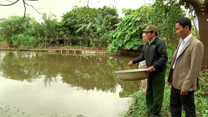 Quảng Trị Hiệu quả từ mô hình nuôi cá nước ngọt ở A Xing