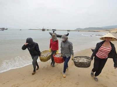 Ngư dân Quảng Trị thu tiền triệu từ lộc biển đầu năm