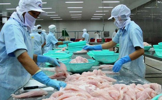 An Giang Gỡ khó cho thủy sản