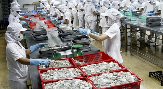 TS4 Hoàn thành gần 50% chỉ tiêu lợi nhuận năm 2017