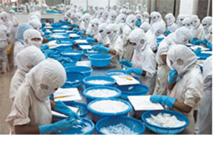 SEAPRIEXCO No4 tăng vốn để mở rộng vùng nuôi cá tra