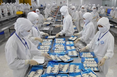 Xuất khẩu tôm quý II2018 chững do giá tôm giảm