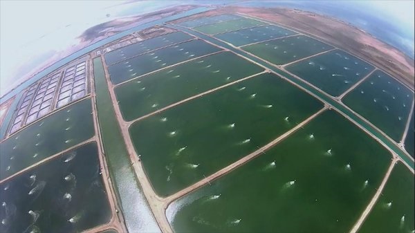 BAP trở thành chương trình chứng nhận đầu tiên áp dụng cho chương trình bền vững xã hội