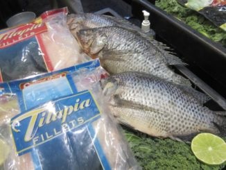 Mỹ Cá rô phi có thể biến mất do mức thuế Trump áp lên thủy sản Trung Quốc