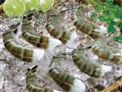 CAMIMEX lãi 3,32 tỷ đồng quý I nhờ giá vốn hàng bán giảm