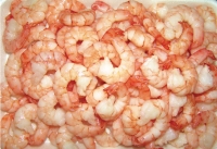 CUULONG SEAPRO Báo cáo tài chính năm 2011