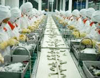 MINH PHU SEAFOOD CORP chuẩn bị cho đợt phát hành