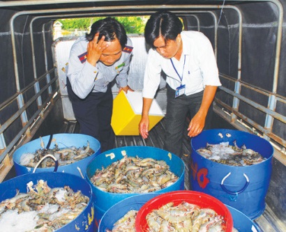 Bạc Liêu Sở NNPNT Công khai tên tổ chức, cá nhân vận chuyển tôm tạp chất