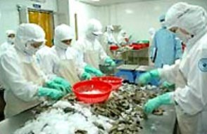 Tôm, cá được giá nhờ xuất khẩu tốt