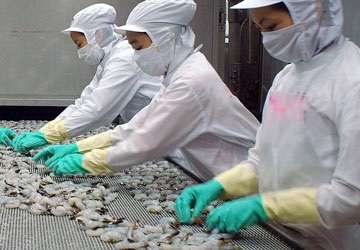 Đẩy mạnh khai thác thị trường tại châu Phi Hướng đi mới hỗ trợ doanh nghiệp xuất khẩu