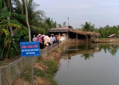 Bạc Liêu Hiệu quả mô hình nuôi tôm càng xanh