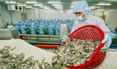 Cách nào để con tôm xuất được 10 tỷ USD