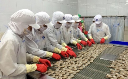 Chiến tranh thương mại Mỹ - Trung Cơ hội và thách thức cho tôm Việt Nam