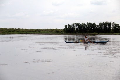 Kiên Giang Giải pháp phát triển bền vững mô hình lúa – tôm