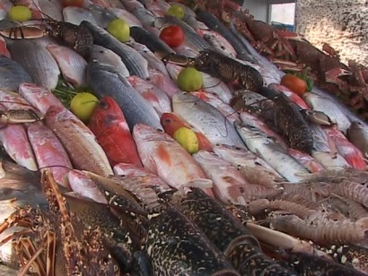 Trung Quốc Giá cá tăng, giá thủy sản có vỏ giảm trong nửa đầu năm 2017