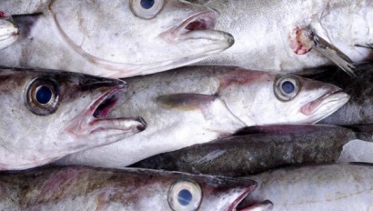 Mỹ Nguồn cung cá minh thái Alaska dự kiến giảm nhẹ năm 2017