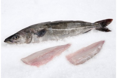 Nga Sản xuất philê cá minh thái năm 2016 tăng mạnh 