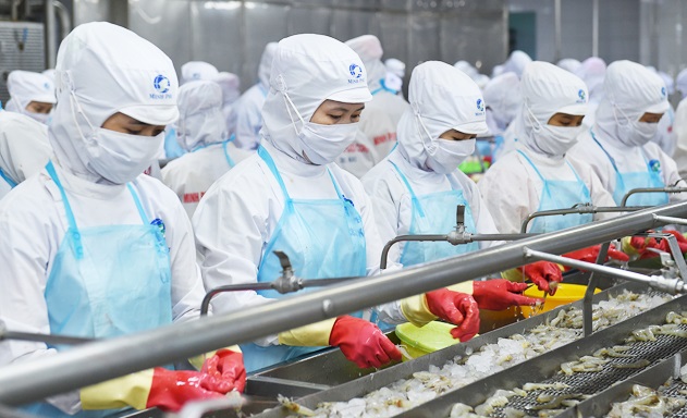 Xuất khẩu tôm sang EU Kỳ vọng từ EVFTA