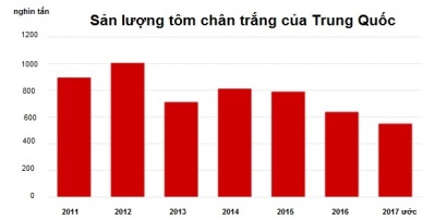 Sản lượng tôm thế giới tăng trưởng chậm lại