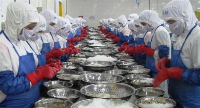 Bộ Y tế Chỉ kiểm tra DN sản xuất muối I-ốt