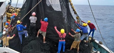 Ecuador hi vọng vào thoả thuận thuế nhập khẩu cá ngừ với Mỹ