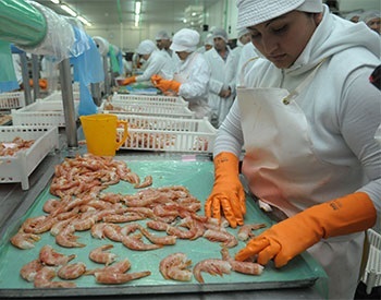 Argentina Xuất khẩu tôm sang Trung Quốc bị ảnh hưởng bởi Covid-19