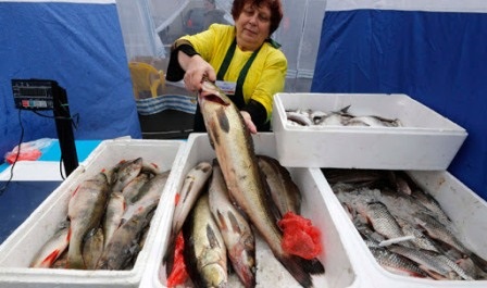 Xuất khẩu thủy sản của Nga sang Mỹ tiếp tục tăng